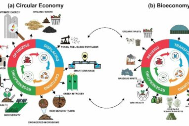 The transition to a circular bioeconomy requires getting prices ...