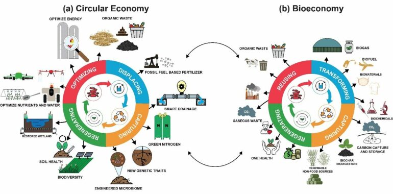 The transition to a circular bioeconomy requires getting prices ...