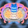 To make nuclear fusion a reliable energy source one day ...