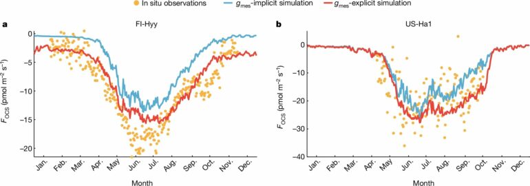 Trace gas measurements could advance carbon cycle predictions