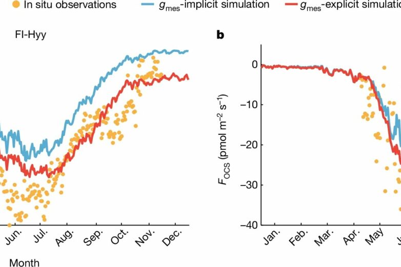 Trace gas measurements could advance carbon cycle predictions