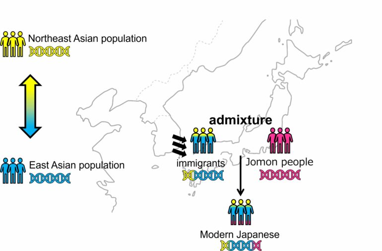 Traces of ancient immigration patterns to Japan found in 2,000 ...