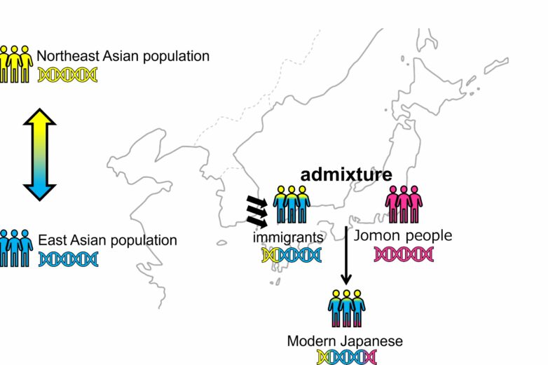 Traces of ancient immigration patterns to Japan found in 2,000 ...