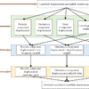 A dynamic prediction model of landslide displacement based on VMD ...