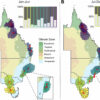 Using weather radar to track Australia's migrating birds