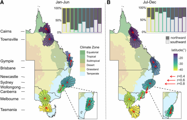 Using weather radar to track Australia's migrating birds