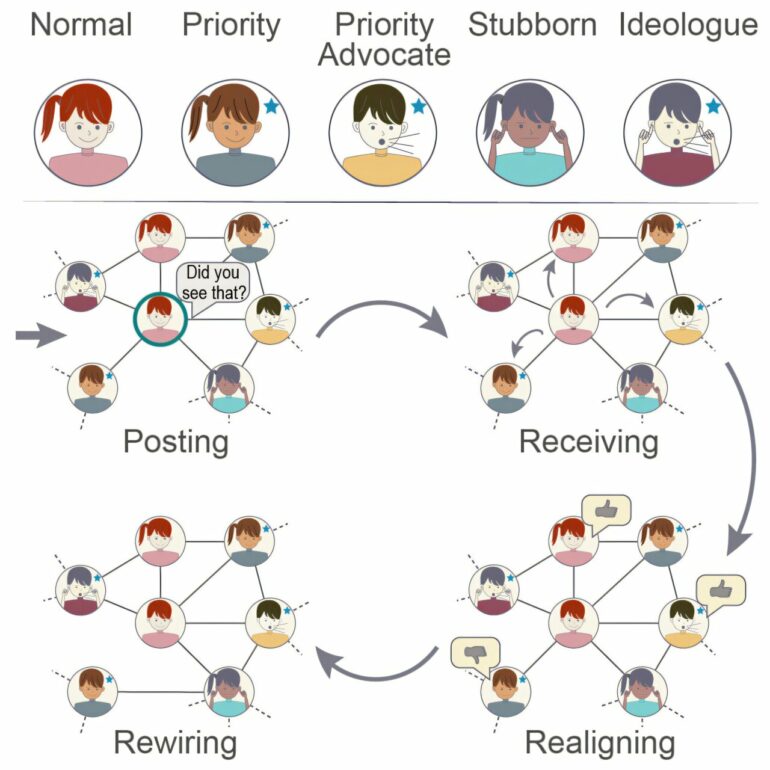 Verified users on social media networks drive polarization and the ...