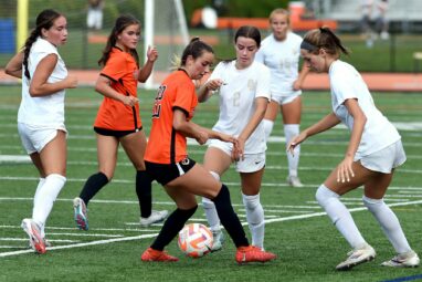 When and why do girls start forming cliques?