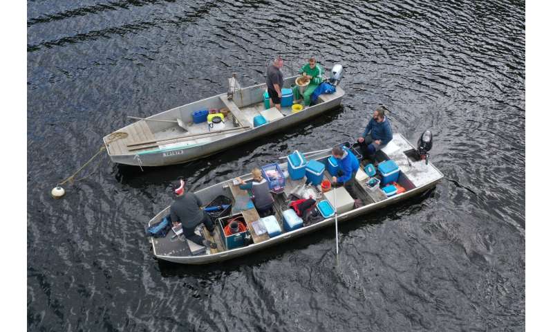 Czech scientists have discovered a new giant virus in Římov reservoir. It infects freshwater algae and has been named Bu