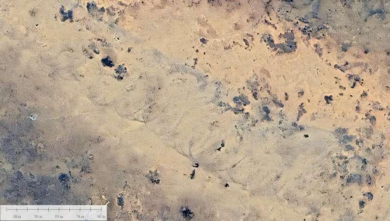 A man scouring Google Earth found a mysterious scar in the Australian outback—and now scientists know what caused it