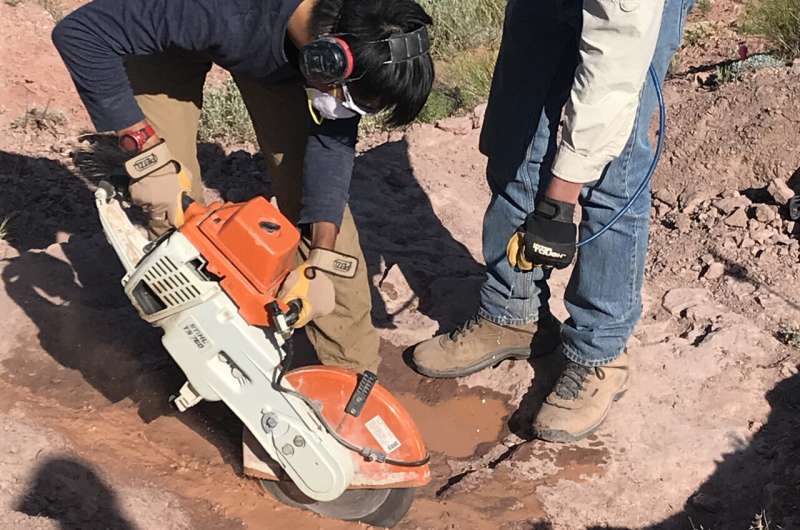 Fossil amphibians found in burrows where they waited for the next rainy season