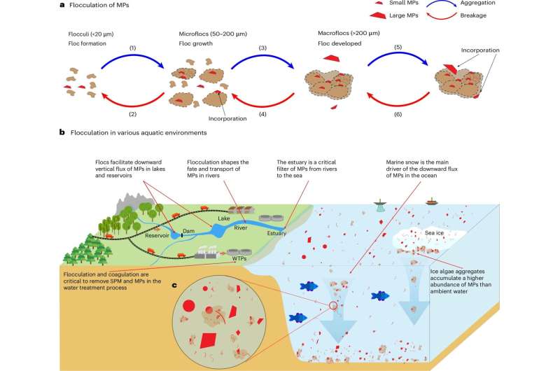 New Study Reveals How Tiny Plastic 'Hitchhikers' Spread Quickly Through Water Systems