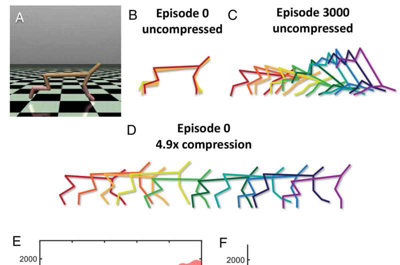 The next evolution of AI begins with ours: Neuroscientists devise a potential explanation for innate ability