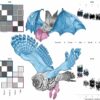 A comparison of bat and bird wings reveals their evolutionary ...