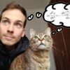 A physicist and his cat 'reveal' the equation of cat motion