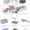 AI-powered system detects toxic gases with speed and precision