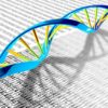 Algorithm predicts DNA methylation in ancient specimens, providing ...