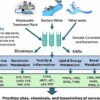 Alternate stream water-testing method detects emerging contaminants