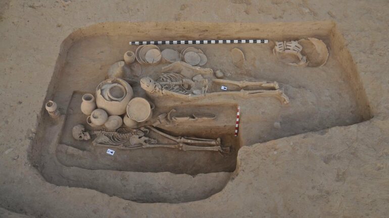 Ancient DNA sheds light on adaptation of early Europeans at the ...