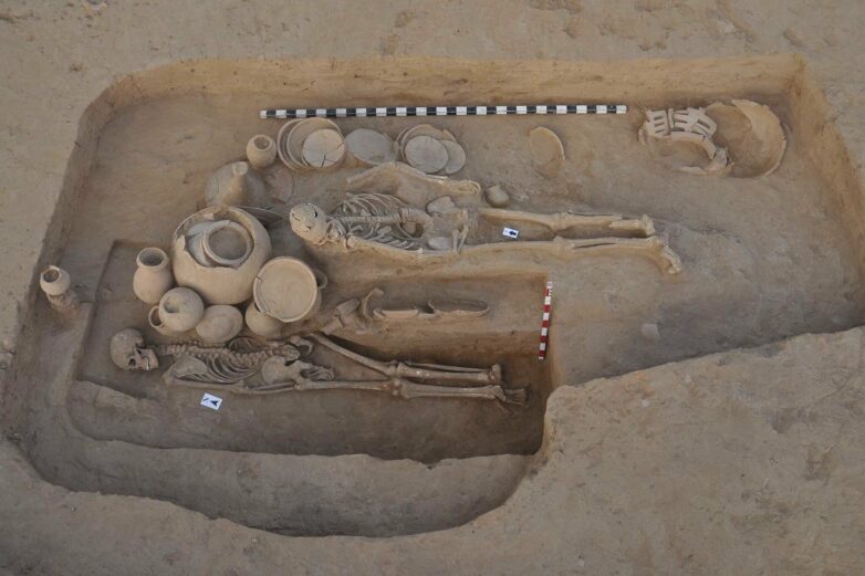 Ancient DNA sheds light on adaptation of early Europeans at the ...