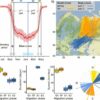 Arctic raptors study reveals a new migration pattern, highlighting ...