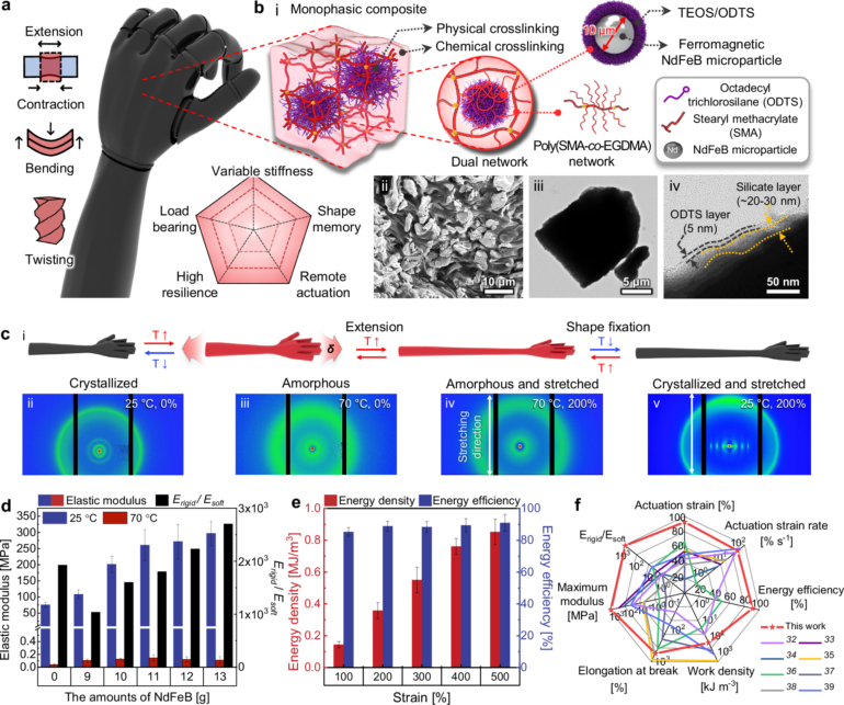 Multifunctional Magnetic Muscles for Soft Robotics | Nature ...