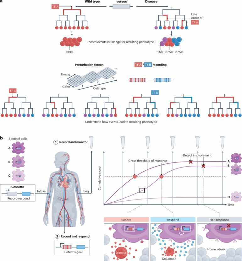 Better health diagnostics through genetically engineered embedded ...