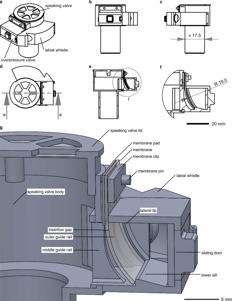 Biomimetic speaking valve technology has enhanced safety features ...