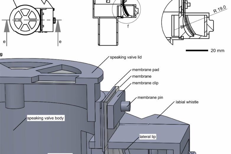 Biomimetic speaking valve technology has enhanced safety features ...