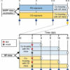 Cigarette smoke alters microbiota and aggravates flu severity ...