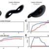 Computational method pinpoints how cause-and-effect relationships ...