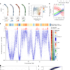 Quantifying DNA replication speeds in single cells by scEdU-seq ...