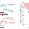 Engineering ultrafast exciton dynamics to boost organic ...