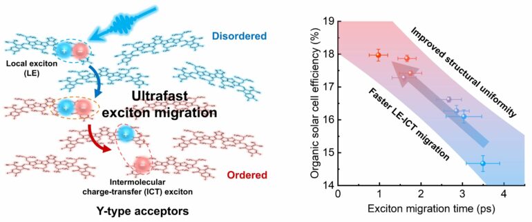 Engineering ultrafast exciton dynamics to boost organic ...