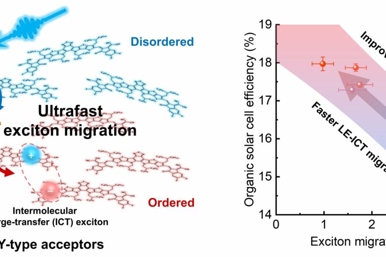 Engineering ultrafast exciton dynamics to boost organic ...