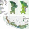 Ensuring water for energy and food production in the Andes-Amazon ...