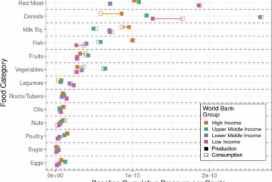 Exploring diet shifts can reveal the hidden costs of what we eat