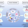 Developmental Toxicity of Fine Particulate Matter: Multifaceted ...