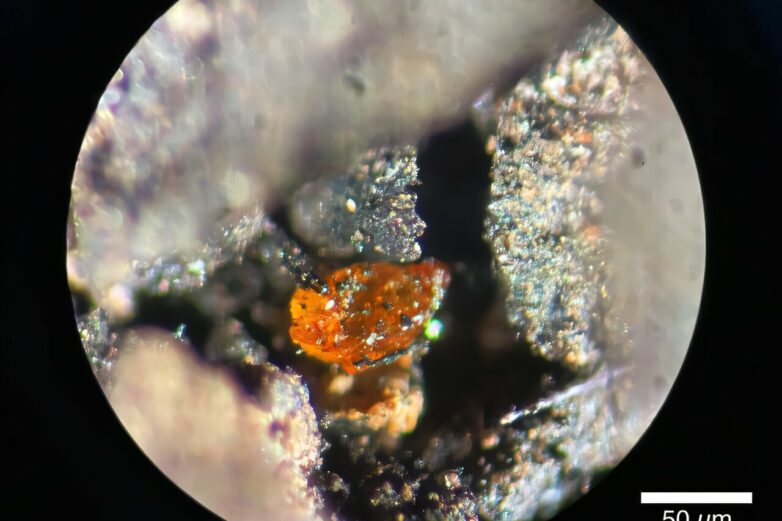 First amber find on the Antarctic continent provides new insights ...