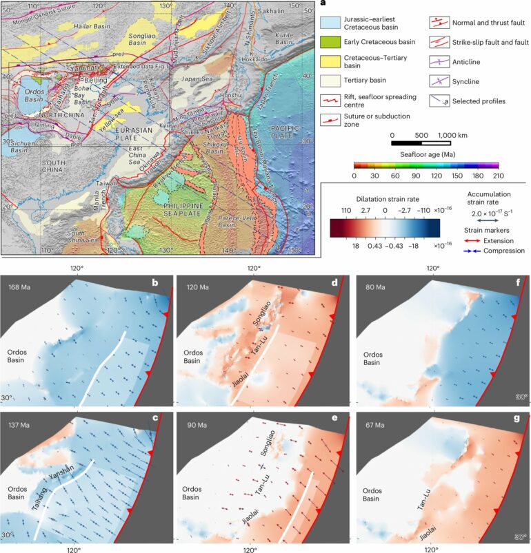 Geodynamic mantle-flow model explains deformation of continental ...