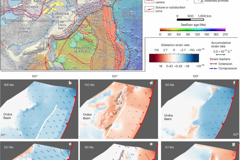 Geodynamic mantle-flow model explains deformation of continental ...