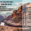 Geologists rewrite textbooks with new insights from Cambrian rocks ...