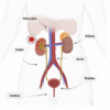 Novel Antimicrobial Approaches to Combat Bacterial Biofilms ...