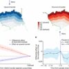 Government interventions can reduce deadly air pollution in South ...