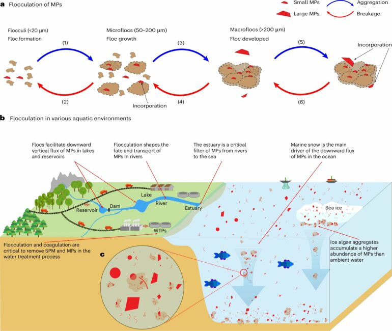 High-speed 'floc trains': Discovery reveals how tiny plastic ...