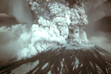 How gophers brought Mount St. Helens back to life in one day