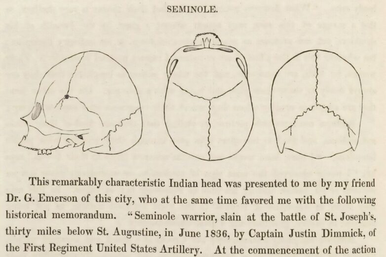 Hundreds of 19th-century skulls collected in the name of medical ...