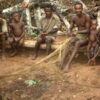 Hunter-gatherer study helps explain how children have learned for ...