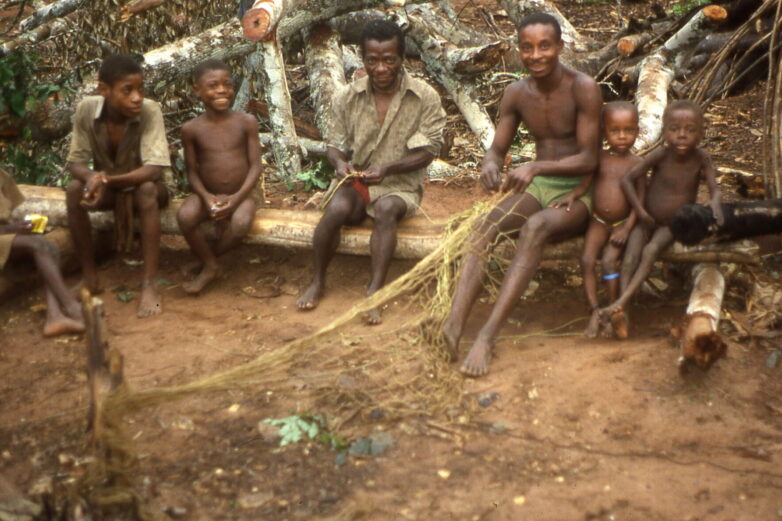 Hunter-gatherer study helps explain how children have learned for ...