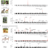 Whole genome sequencing of canids reveals genomic regions under ...